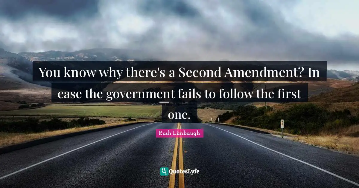 You know why there's a Second Amendment? In case the government fails to follow the first one.