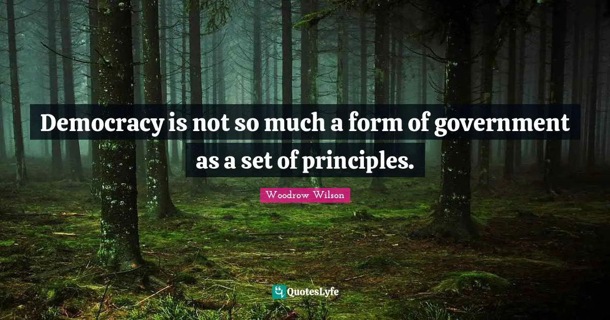 Democracy is not so much a form of government as a set of principles.