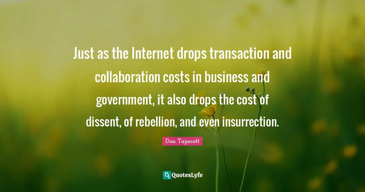 Just as the Internet drops transaction and collaboration costs in business and government, it also drops the cost of dissent, of rebellion, and even insurrection.