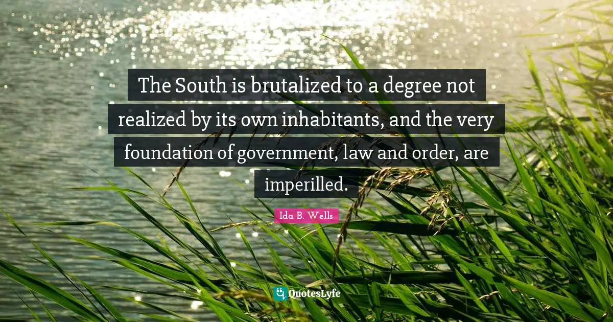 The South is brutalized to a degree not realized by its own inhabitants, and the very foundation of government, law and order, are imperilled.