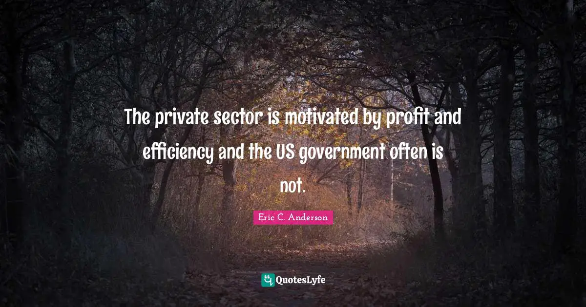 The private sector is motivated by profit and efficiency and the US government often is not.