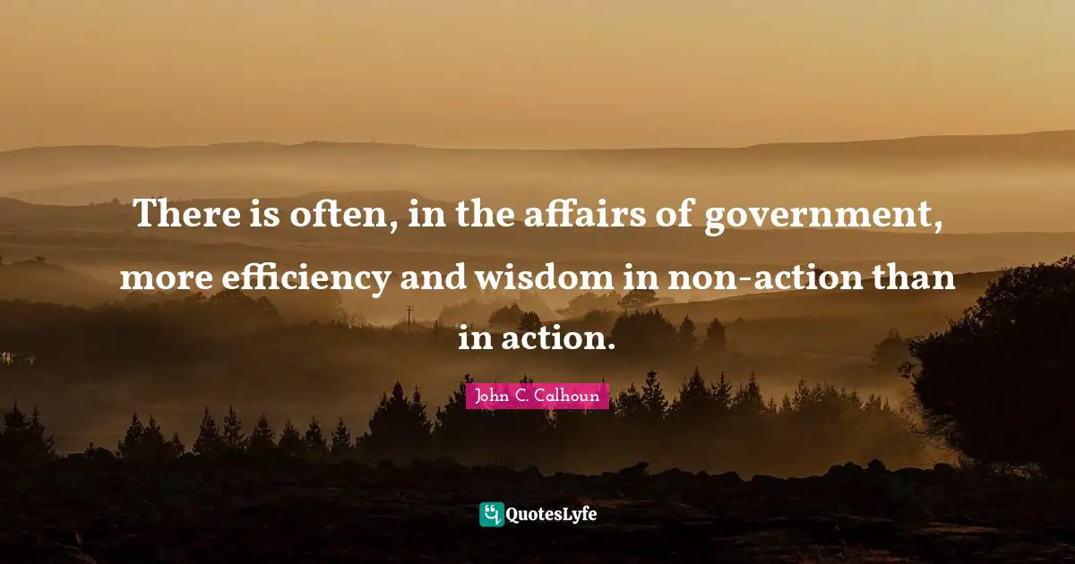 There is often, in the affairs of government, more efficiency and wisdom in non-action than in action.