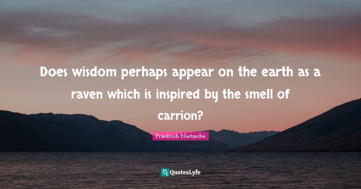 Does wisdom perhaps appear on the earth as a raven which is inspired by the smell of carrion?