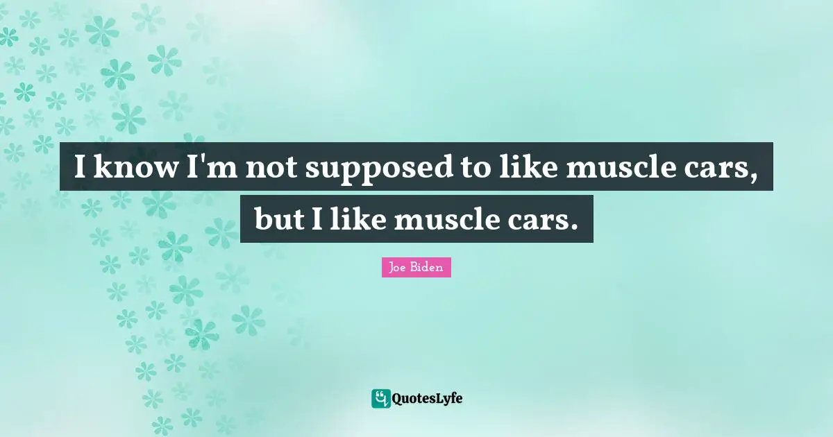 I know I'm not supposed to like muscle cars, but I like muscle cars.