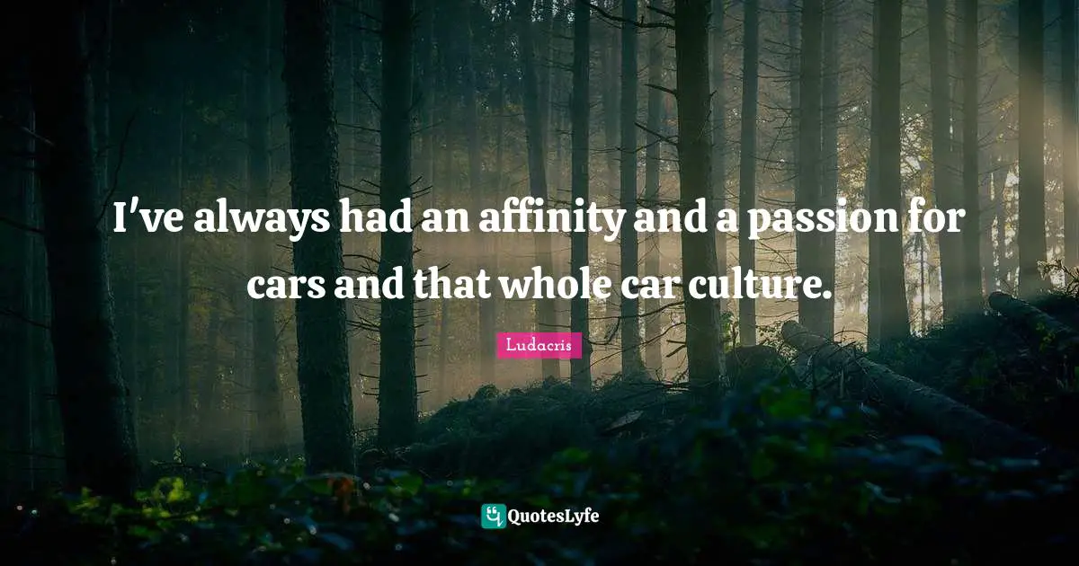 Ludacris Quotes: "I've always had an affinity and a passion for cars and that whole car culture."