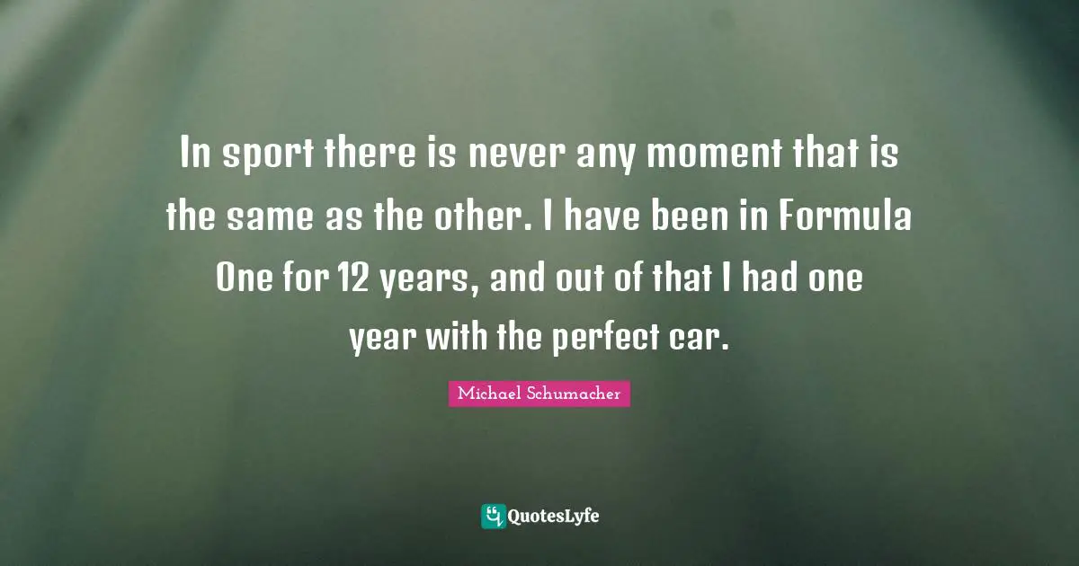 In sport there is never any moment that is the same as the other. I have been in Formula One for 12 years, and out of that I had one year with the perfect car.
