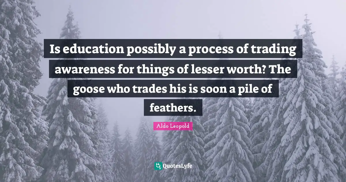 Is education possibly a process of trading awareness for things of lesser worth? The goose who trades his is soon a pile of feathers.
