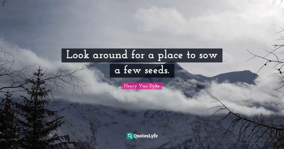 Look around for a place to sow a few seeds.