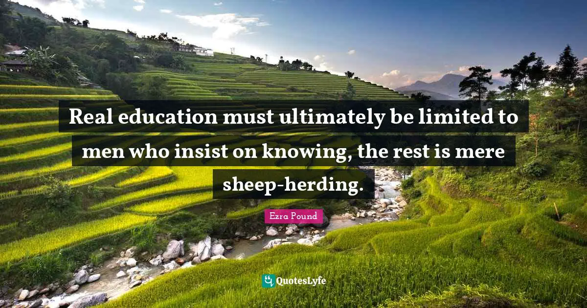 Rest Quotes: "Real education must ultimately be limited to men who insist on knowing, the rest is mere sheep-herding."
