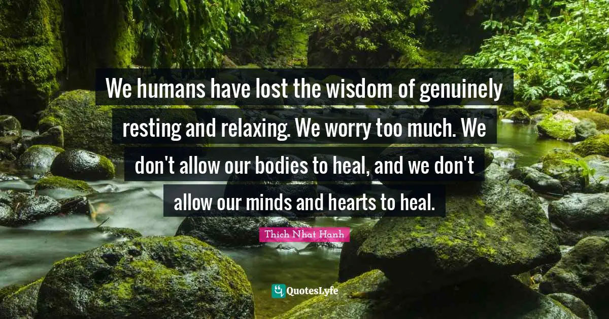 Thich Nhat Hanh Quotes: "We humans have lost the wisdom of genuinely resting and relaxing. We worry too much. We don't allow our bodies to heal, and we don't allow our minds and hearts to heal."
