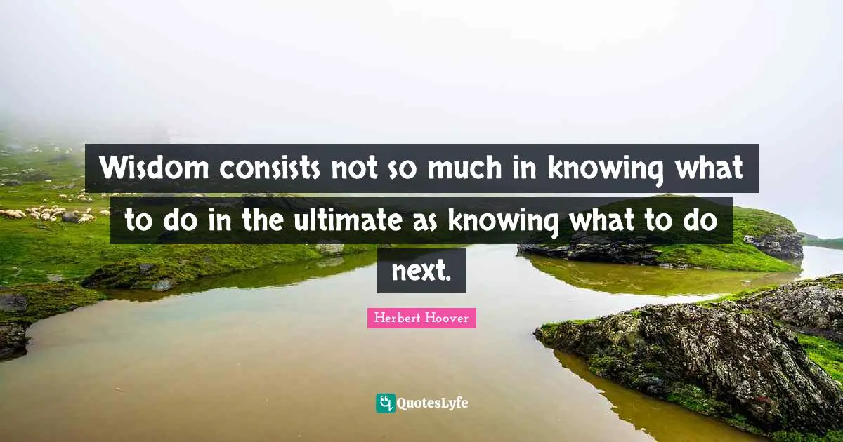 Wisdom consists not so much in knowing what to do in the ultimate as knowing what to do next.