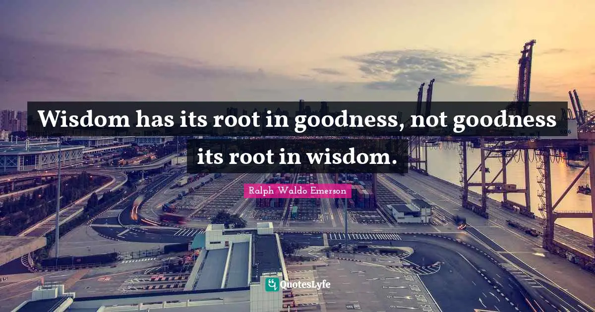 Root Quotes: "Wisdom has its root in goodness, not goodness its root in wisdom."
