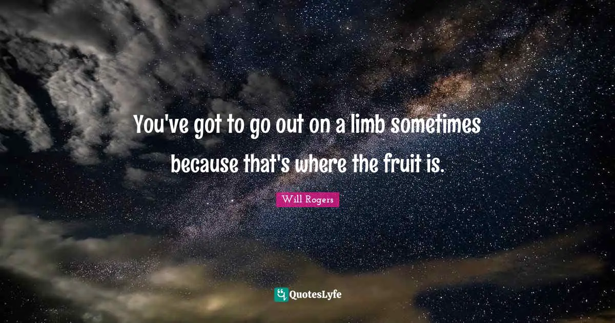Fruit Quotes: "You've got to go out on a limb sometimes because that's where the fruit is."