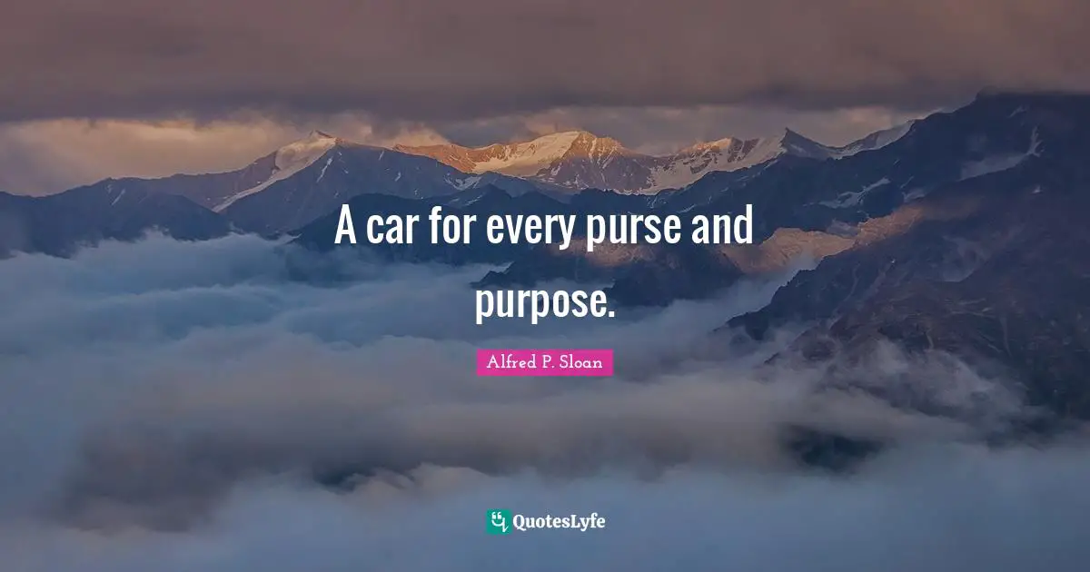 A car for every purse and purpose.