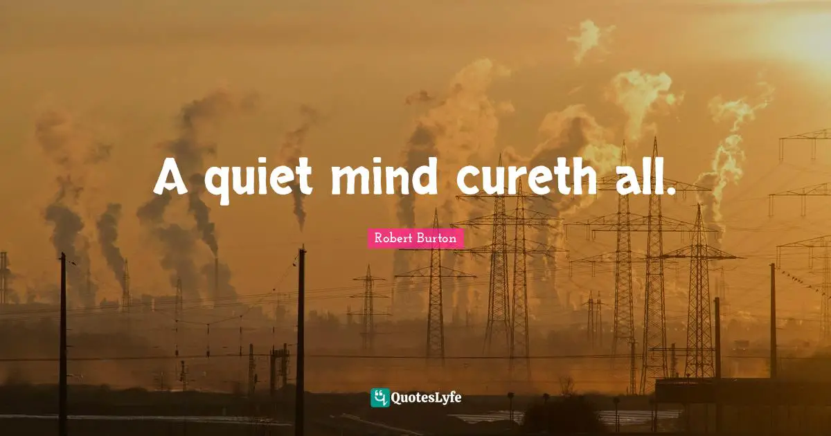 A quiet mind cureth all.