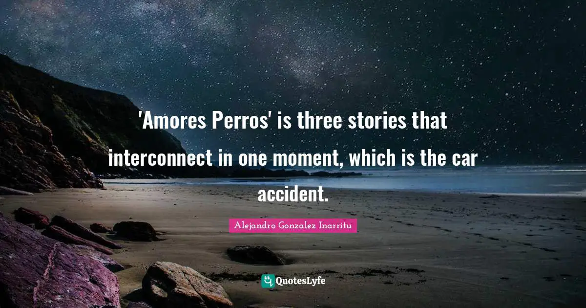 'Amores Perros' is three stories that interconnect in one moment, which is the car accident.