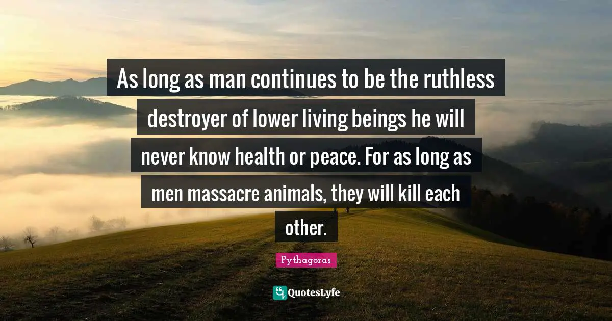 Pythagoras Quotes: As long as man continues to be the ruthless destroyer of lower living beings he will never know health or peace. For as long as men massacre animals, they will kill each other.