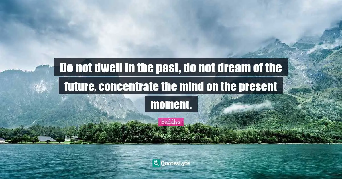 Do not dwell in the past, do not dream of the future, concentrate the mind on the present moment.