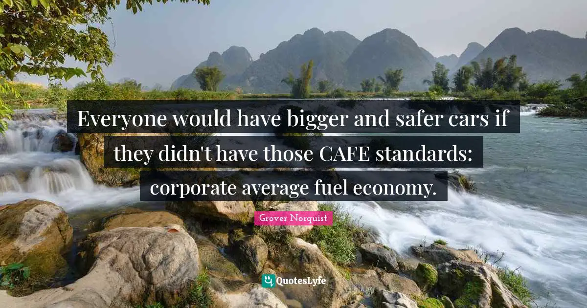 Everyone would have bigger and safer cars if they didn't have those CAFE standards: corporate average fuel economy.