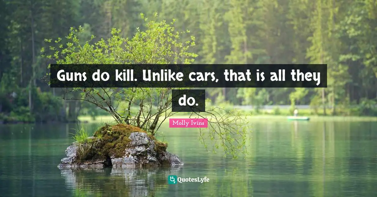Guns do kill. Unlike cars, that is all they do.