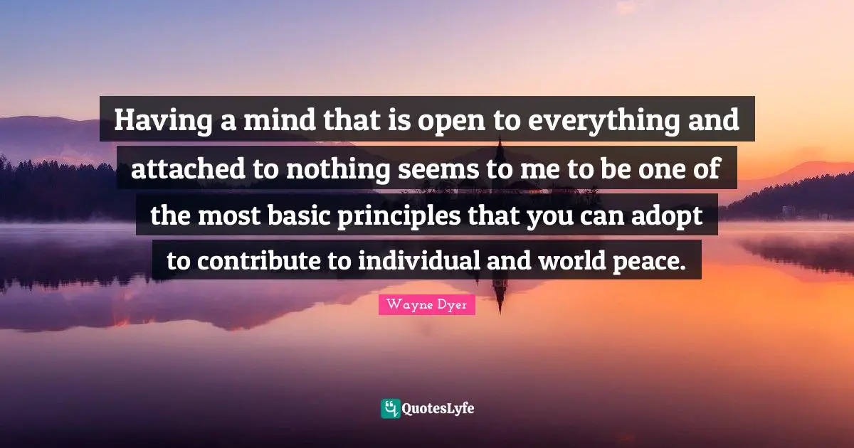 Having a mind that is open to everything and attached to nothing seems to me to be one of the most basic principles that you can adopt to contribute to individual and world peace.