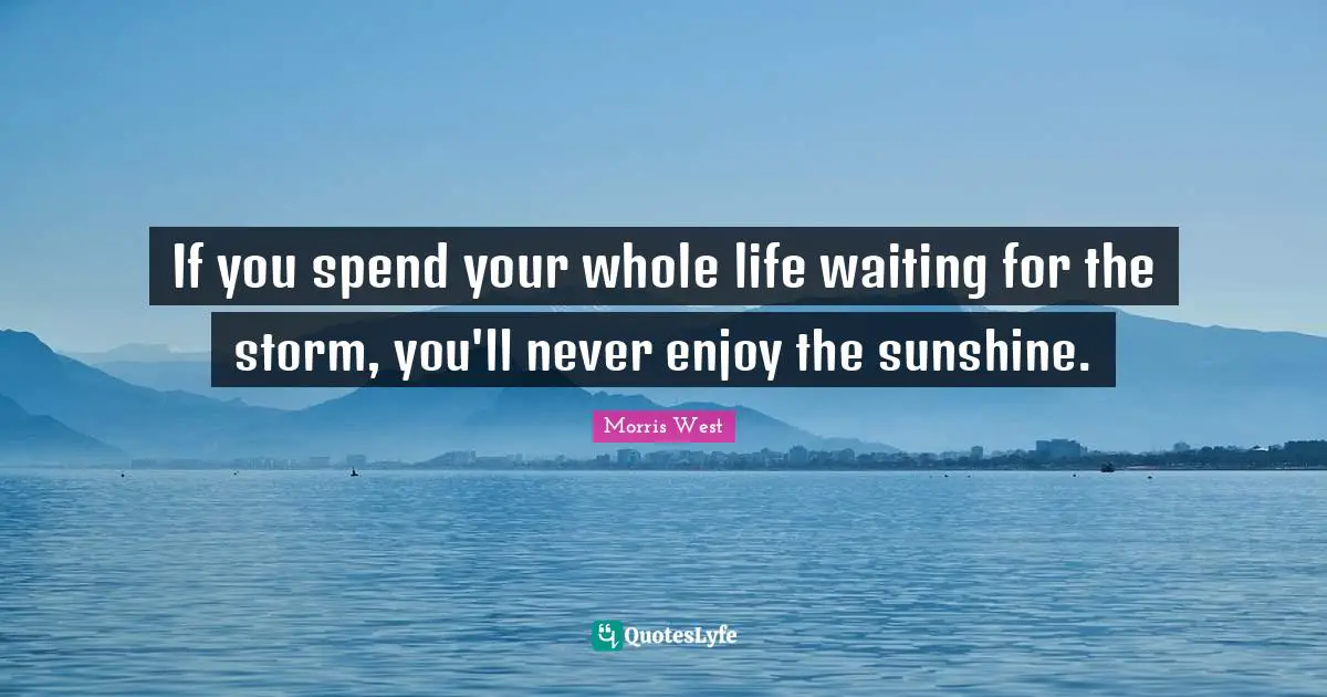 Ti West Quotes: "If you spend your whole life waiting for the storm, you'll never enjoy the sunshine."