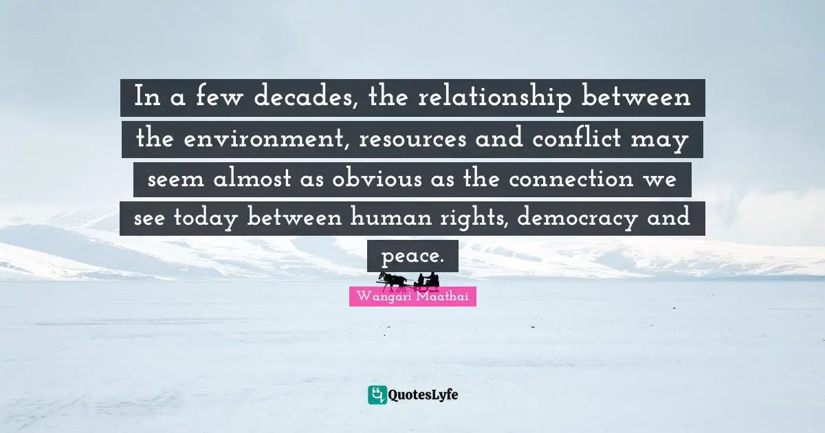 In a few decades, the relationship between the environment, resources and conflict may seem almost as obvious as the connection we see today between human rights, democracy and peace.