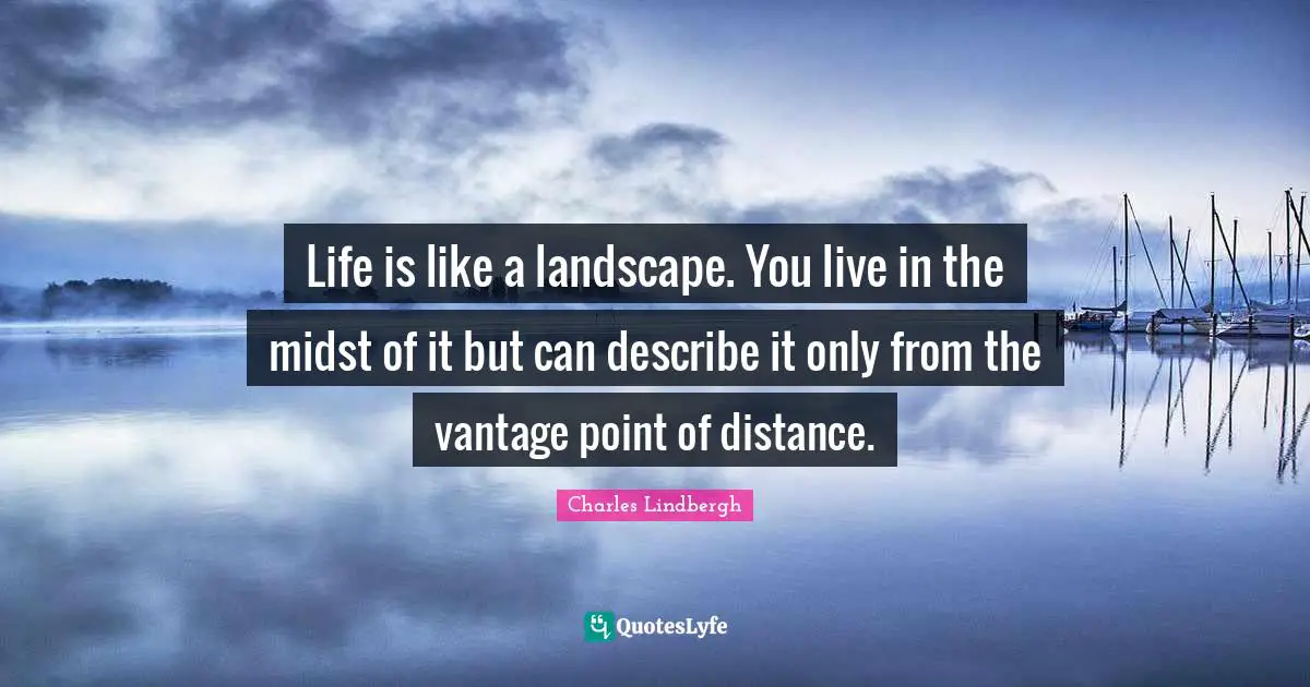 Life is like a landscape. You live in the midst of it but can describe it only from the vantage point of distance.