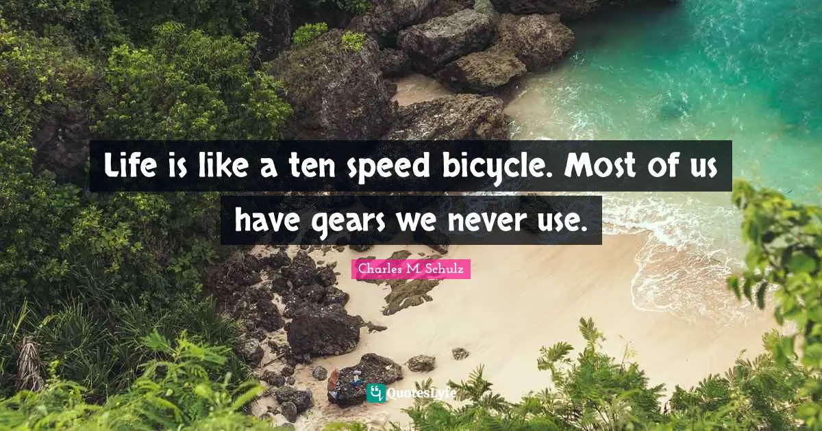 Life is like a ten speed bicycle. Most of us have gears we never use.