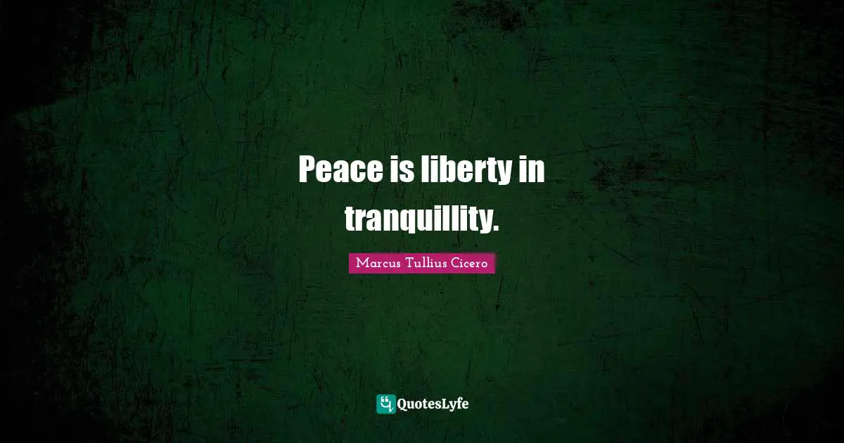 Peace is liberty in tranquillity.