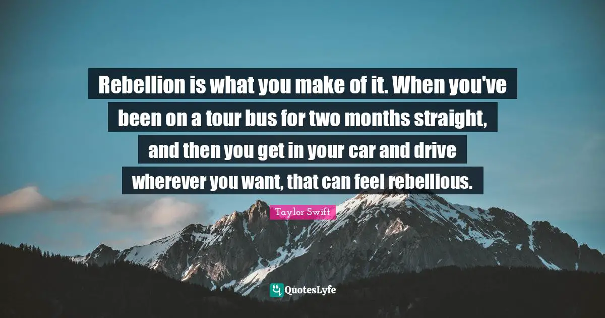Rebellion is what you make of it. When you've been on a tour bus for two months straight, and then you get in your car and drive wherever you want, that can feel rebellious.