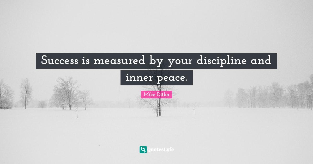 Success is measured by your discipline and inner peace.
