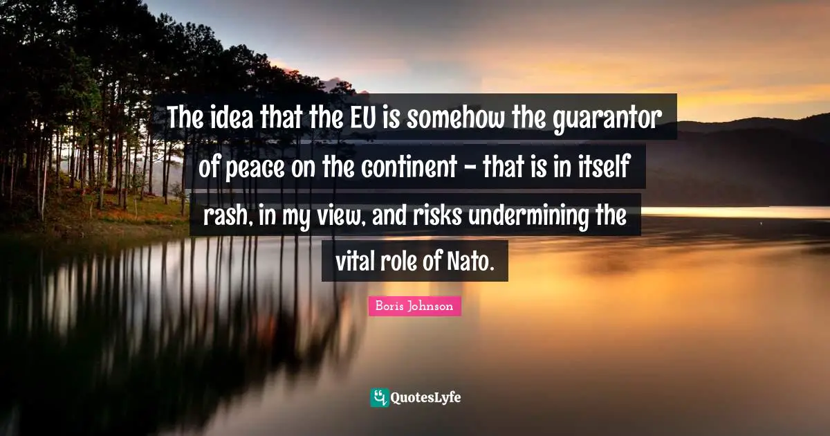 The idea that the EU is somehow the guarantor of peace on the continent - that is in itself rash, in my view, and risks undermining the vital role of Nato.