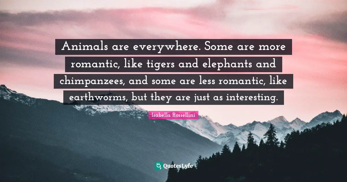 Animals are everywhere. Some are more romantic, like tigers and elephants and chimpanzees, and some are less romantic, like earthworms, but they are just as interesting.