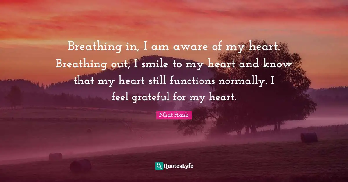 Breathing in, I am aware of my heart. Breathing out, I smile to my heart and know that my heart still functions normally. I feel grateful for my heart.