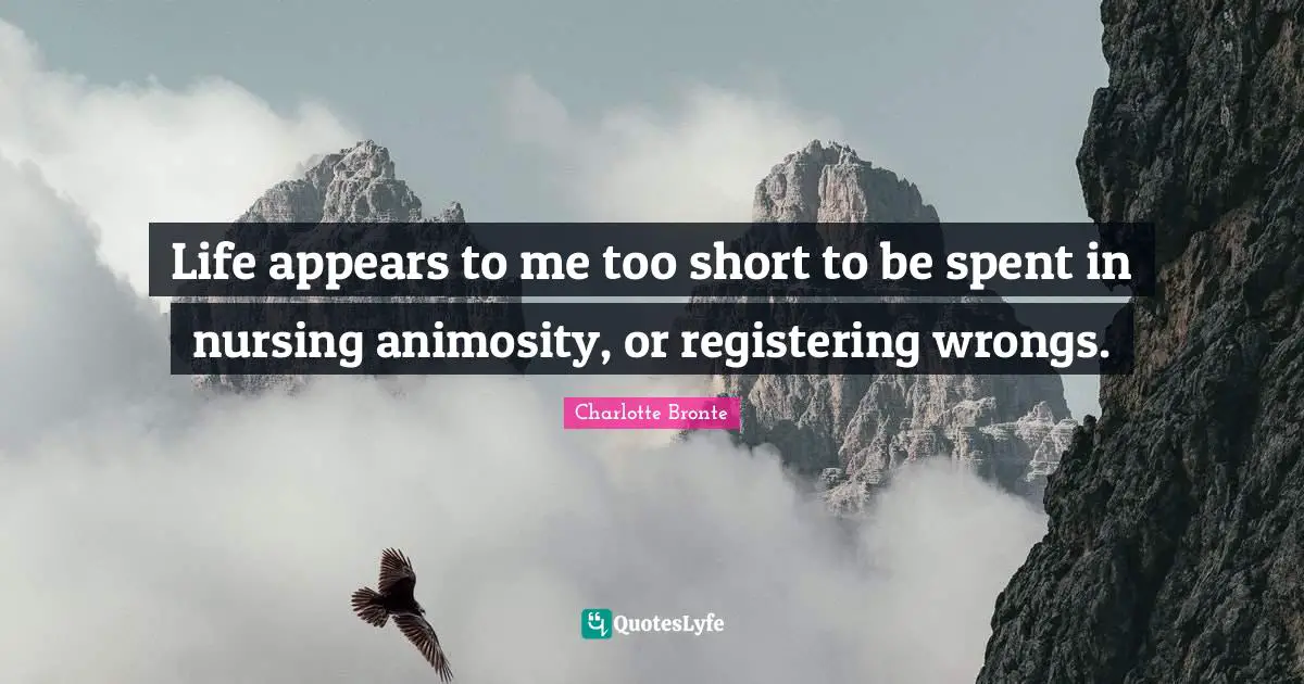 Charlotte Bronte Quotes: "Life appears to me too short to be spent in nursing animosity, or registering wrongs."