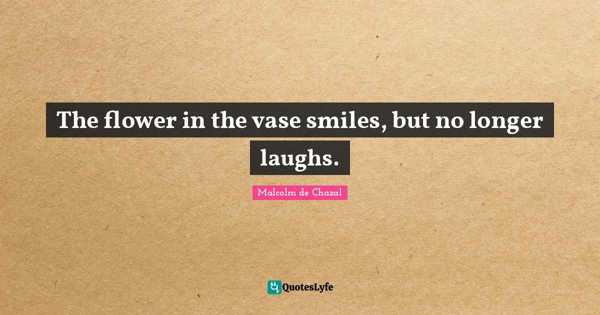 Best Vase Quotes with images to share and download for free at QuotesLyfe