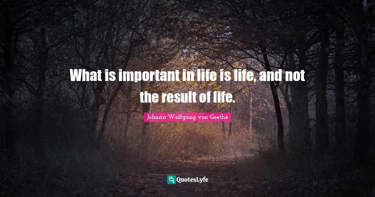 What is important in life is life, and not the result of life.