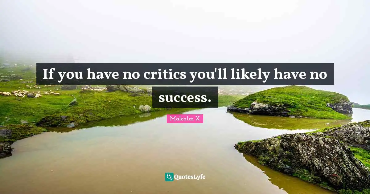 Malcolm X Quotes: "If you have no critics you'll likely have no success."