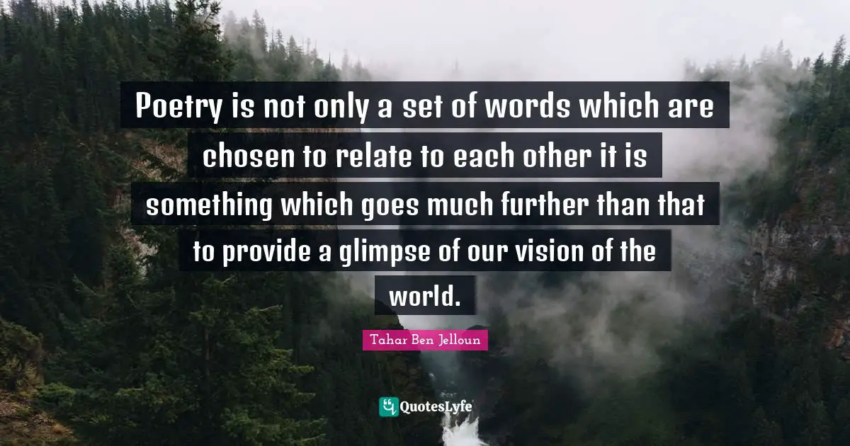 Poetry is not only a set of words which are chosen to relate to each other it is something which goes much further than that to provide a glimpse of our vision of the world.
