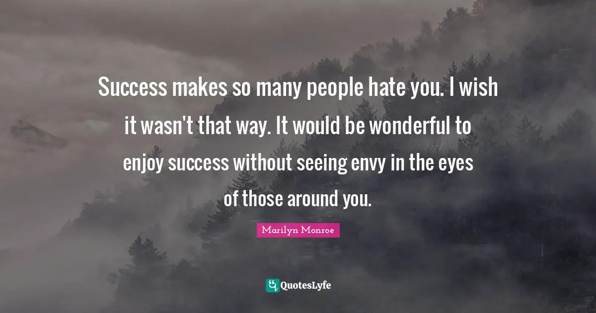 Success makes so many people hate you. I wish it wasn't that way. It would be wonderful to enjoy success without seeing envy in the eyes of those around you.