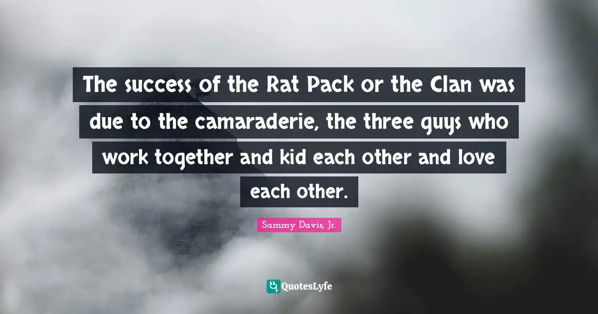 The success of the Rat Pack or the Clan was due to the camaraderie, the three guys who work together and kid each other and love each other.
