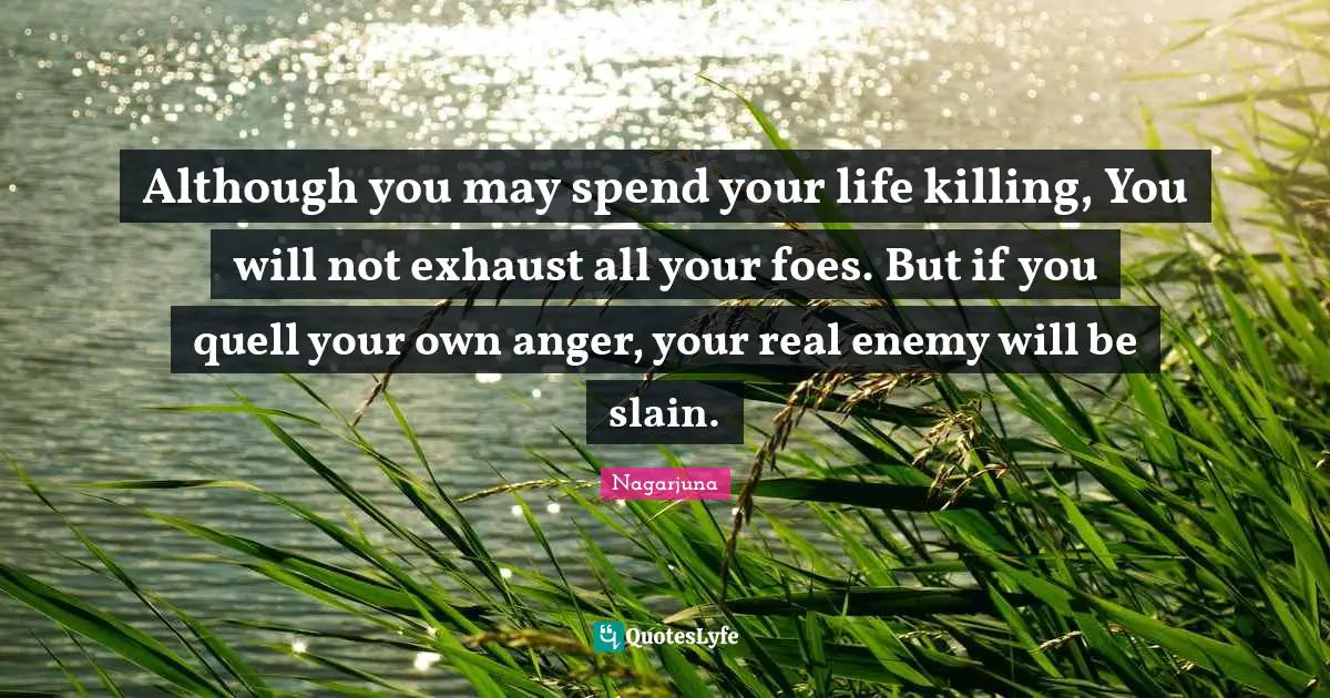 Although you may spend your life killing, You will not exhaust all your foes. But if you quell your own anger, your real enemy will be slain.