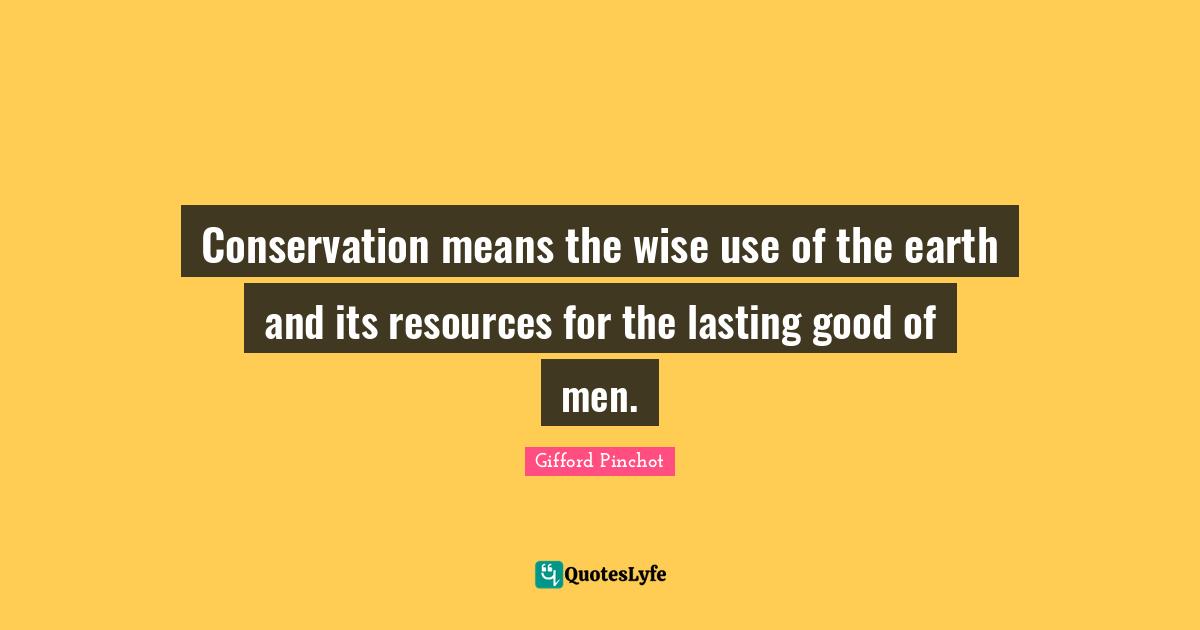 Conservation means the wise use of the earth and its resources for the lasting good of men.