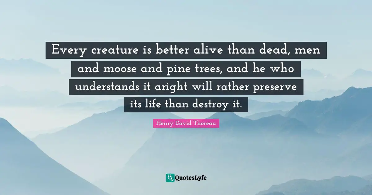 Environmental Quotes: "Every creature is better alive than dead, men and moose and pine trees, and he who understands it aright will rather preserve its life than destroy it."