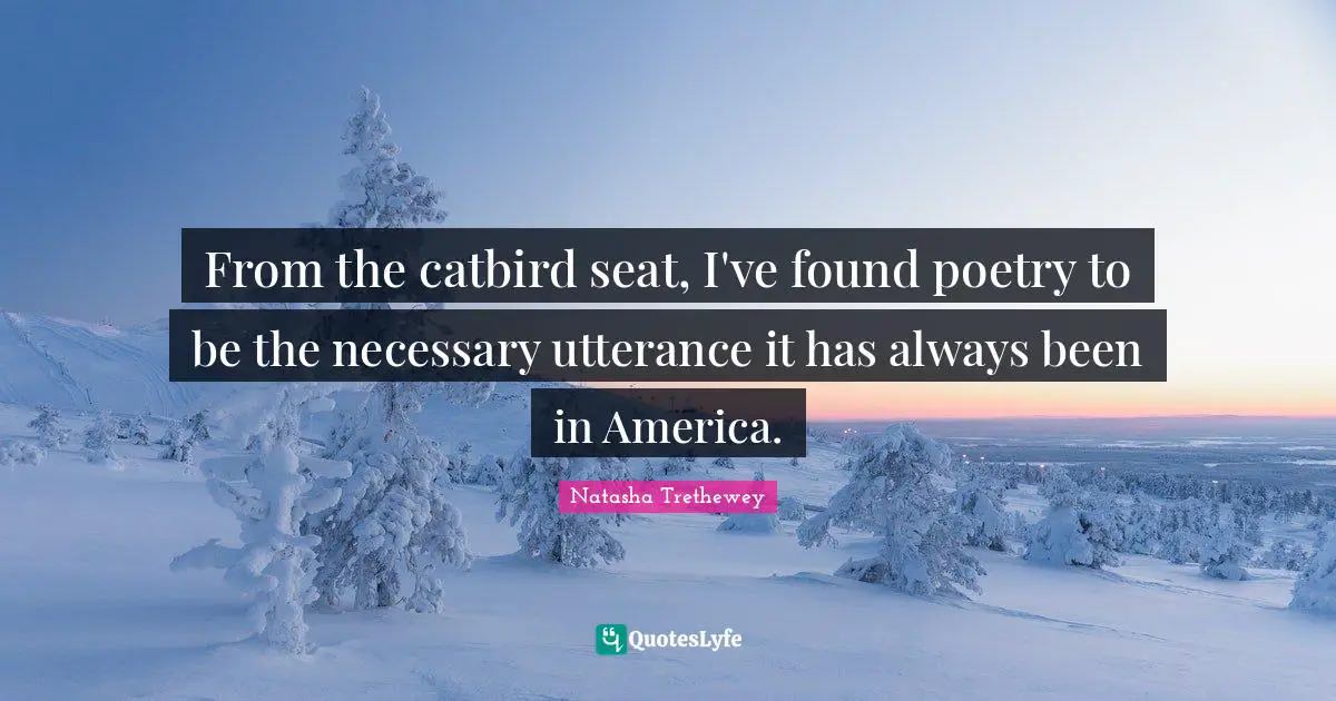 From the catbird seat, I've found poetry to be the necessary utterance it has always been in America.