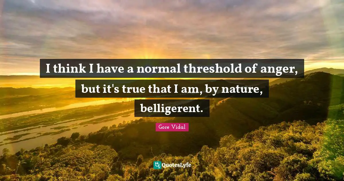 I think I have a normal threshold of anger, but it's true that I am, by nature, belligerent.
