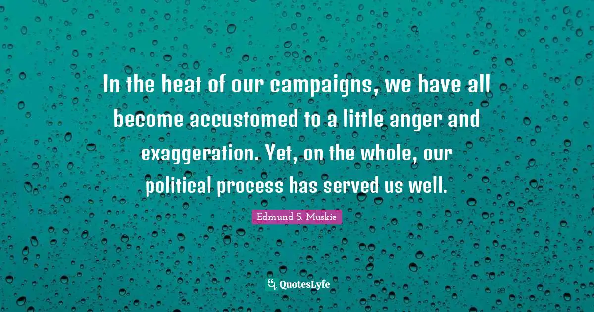 In the heat of our campaigns, we have all become accustomed to a little anger and exaggeration. Yet, on the whole, our political process has served us well.