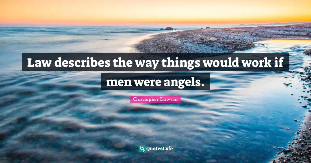 Law describes the way things would work if men were angels.