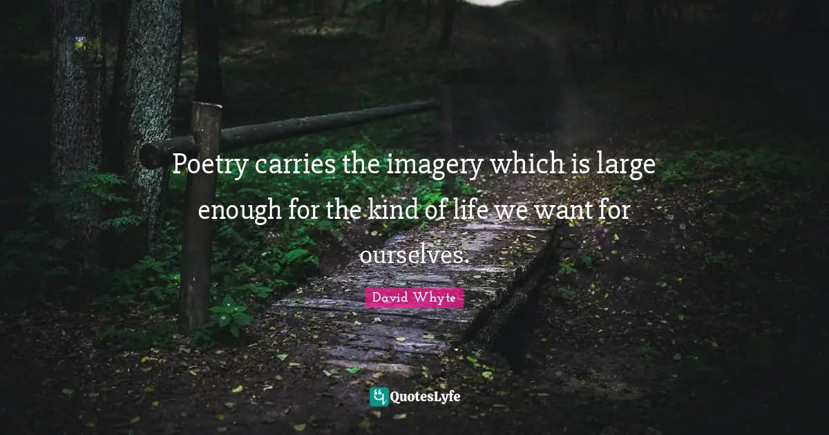 Poetry carries the imagery which is large enough for the kind of life we want for ourselves.